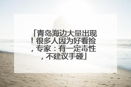 青岛海边大量出现！很多人因为好看捡，专家：有一定毒性，不建议手碰
