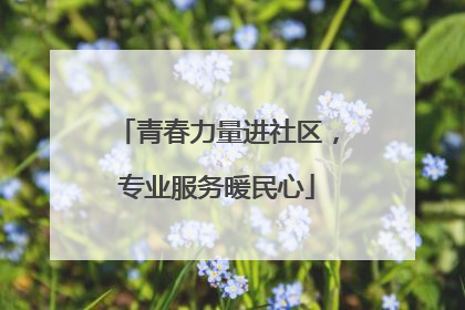 青春力量进社区，专业服务暖民心