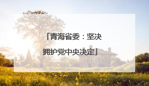 青海省委：坚决拥护党中央决定