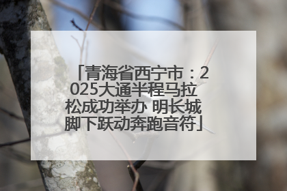 青海省西宁市：2025大通半程马拉松成功举办 明长城脚下跃动奔跑音符