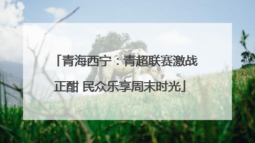 青海西宁：青超联赛激战正酣 民众乐享周末时光