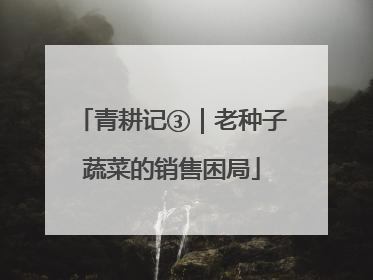 青耕记③｜老种子蔬菜的销售困局