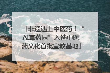 非遗遇上中医药！“AI草药园”入选中医药文化首批宣教基地