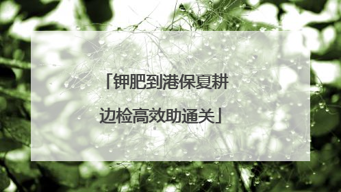 钾肥到港保夏耕 边检高效助通关