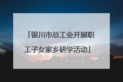 银川市总工会开展职工子女家乡研学活动