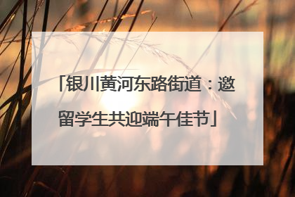 银川黄河东路街道：邀留学生共迎端午佳节