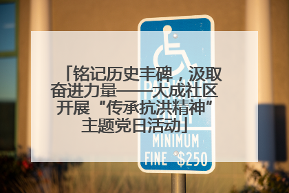 铭记历史丰碑，汲取奋进力量——大成社区开展“传承抗洪精神”主题党日活动