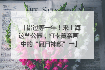 错过等一年！来上海这些公园，打卡莫奈画中的“夏日神颜”→
