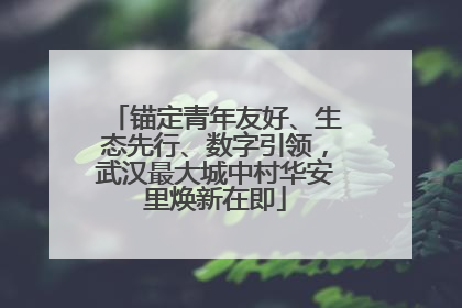 锚定青年友好、生态先行、数字引领，武汉最大城中村华安里焕新在即