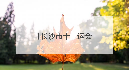 长沙市十一运会武术比赛少年组热血开赛 360余名小将展风采