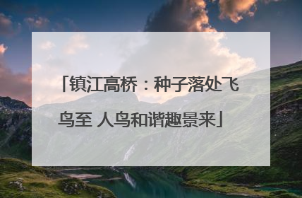 镇江高桥：种子落处飞鸟至 人鸟和谐趣景来