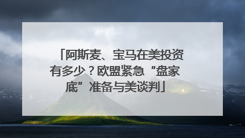阿斯麦、宝马在美投资有多少？欧盟紧急“盘家底”准备与美谈判