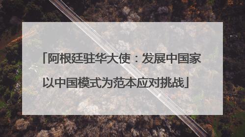 阿根廷驻华大使：发展中国家以中国模式为范本应对挑战