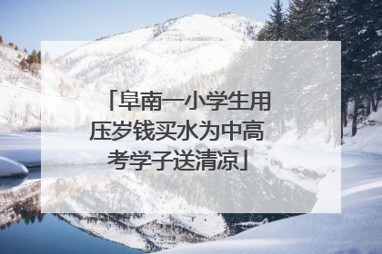 阜南一小学生用压岁钱买水为中高考学子送清凉
