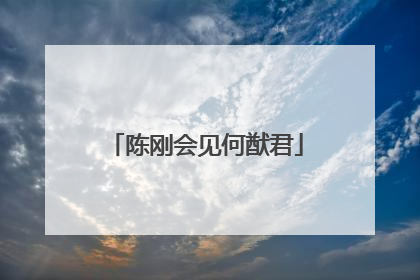 陈刚会见何猷君