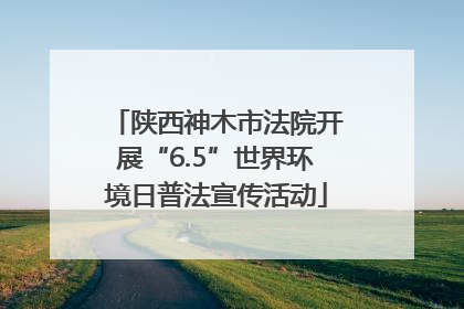 陕西神木市法院开展“6.5”世界环境日普法宣传活动