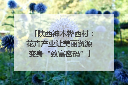 陕西神木铧西村：花卉产业让美丽资源变身“致富密码”