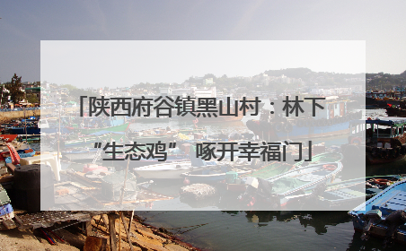 陕西府谷镇黑山村：林下“生态鸡” 啄开幸福门