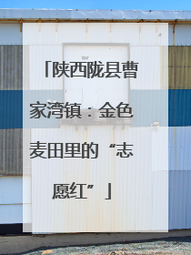 陕西陇县曹家湾镇：金色麦田里的“志愿红”