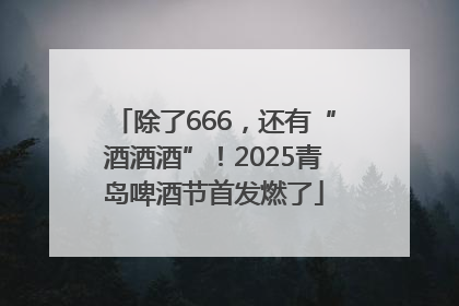 除了666，还有“酒酒酒”！2025青岛啤酒节首发燃了