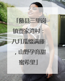 随县三里岗镇贾家湾村：八月瓜缀满藤，山野孕育甜蜜希望
