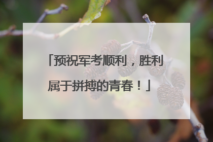 预祝军考顺利，胜利属于拼搏的青春！