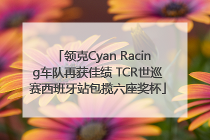 领克Cyan Racing车队再获佳绩 TCR世巡赛西班牙站包揽六座奖杯