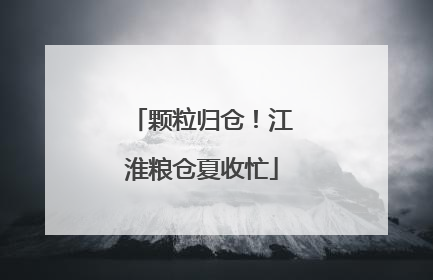 颗粒归仓！江淮粮仓夏收忙