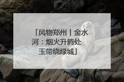 风物郑州丨金水河：烟火升腾处 玉带绕绿城