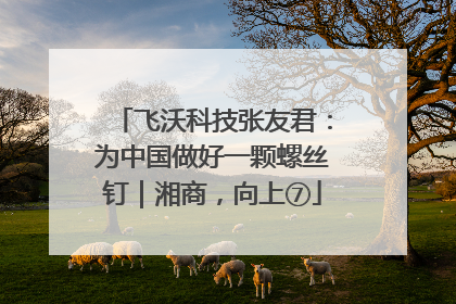 飞沃科技张友君：为中国做好一颗螺丝钉｜湘商，向上⑦