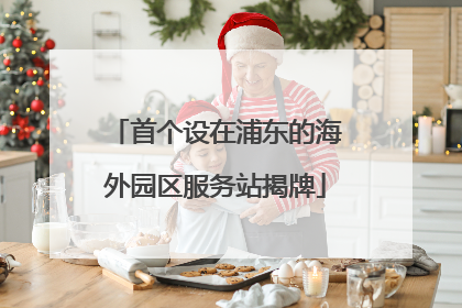 首个设在浦东的海外园区服务站揭牌