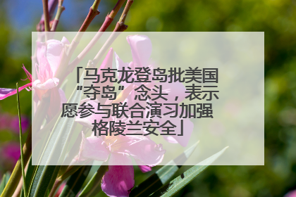 马克龙登岛批美国“夺岛”念头，表示愿参与联合演习加强格陵兰安全