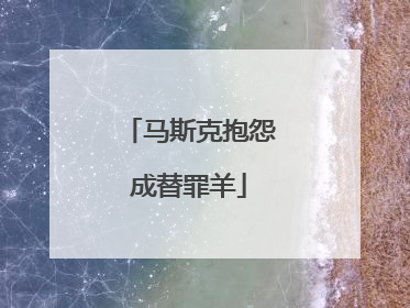 马斯克抱怨成替罪羊
