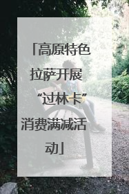 高原特色 拉萨开展“过林卡”消费满减活动