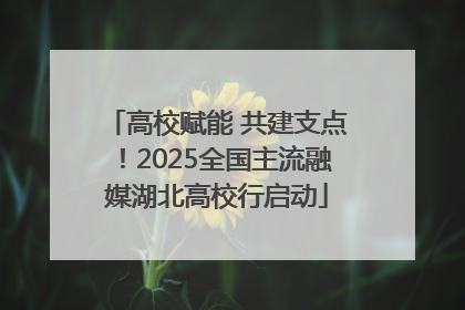 高校赋能 共建支点！2025全国主流融媒湖北高校行启动