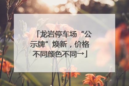 龙岩停车场“公示牌”焕新，价格不同颜色不同→