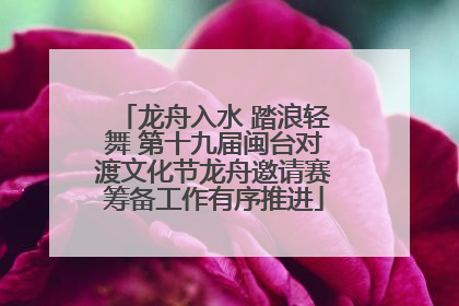 龙舟入水 踏浪轻舞 第十九届闽台对渡文化节龙舟邀请赛筹备工作有序推进
