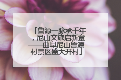 鲁源一脉承千年，尼山文旅启新章——曲阜尼山鲁源村景区盛大开村