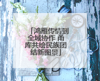 鸿雁传情到全域协作 甬库共绘民族团结新图景