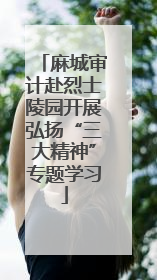 麻城审计赴烈士陵园开展弘扬“三大精神”专题学习