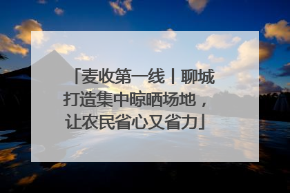 麦收第一线丨聊城打造集中晾晒场地，让农民省心又省力
