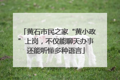 黄石市民之家“黄小政”上岗，不仅能聊天办事还能听懂多种语言