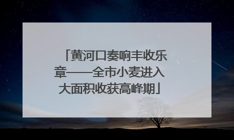 黄河口奏响丰收乐章——全市小麦进入大面积收获高峰期
