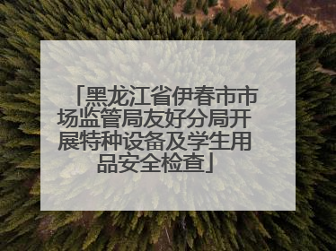 黑龙江省伊春市市场监管局友好分局开展特种设备及学生用品安全检查