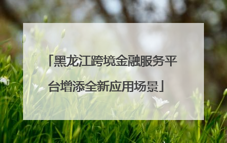 黑龙江跨境金融服务平台增添全新应用场景