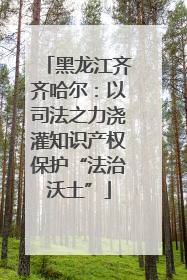 黑龙江齐齐哈尔：以司法之力浇灌知识产权保护“法治沃土”