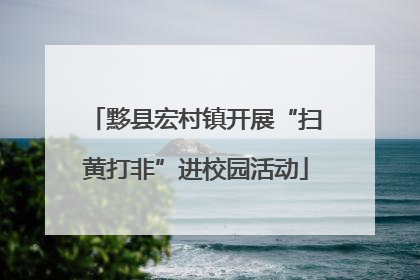 黟县宏村镇开展“扫黄打非”进校园活动