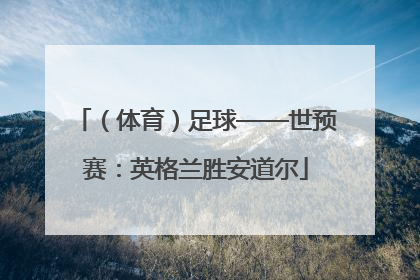 （体育）足球——世预赛：英格兰胜安道尔
