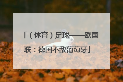 （体育）足球——欧国联：德国不敌葡萄牙