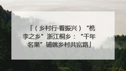 （乡村行·看振兴）“槜李之乡”浙江桐乡：“千年名果”铺就乡村共富路